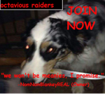 Octavious Raiders