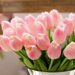 Tulip squad <3