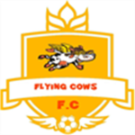 Flying Cows FC