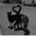 madorlla
