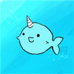 United states of Narwhals