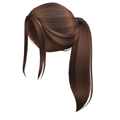 Aesthetic brown ponytail
