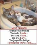 Super Best Friends