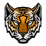 ̣ ̣Tigers ̣ ̣