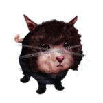 Heavy Wawetal