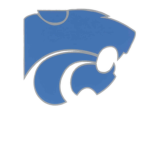 Centreville Wildcats Football Program