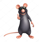 those kool rats