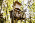 Rei's chaotic abode