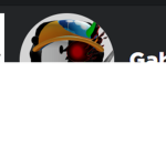 gab boy fan