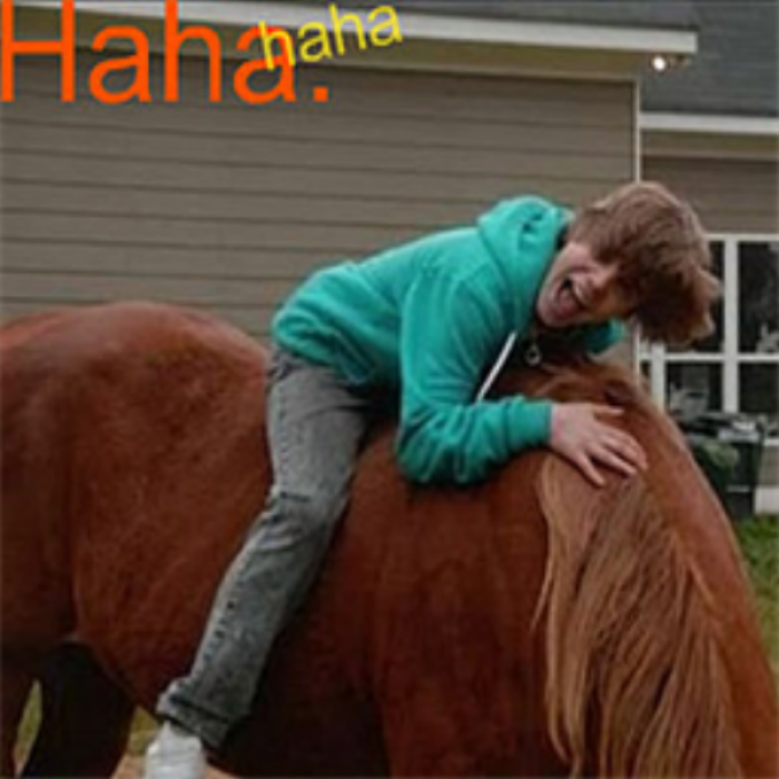 justin bieber riding a horse backwards XD Roblox decal