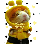 HamsterAgency :3