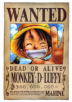 The One Piece Pirates