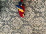 Pete my bird