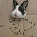 lolzp Group Thumbnail