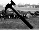 Stampede building group