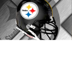 Steelers best fans ever