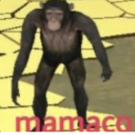 Mamacos2.0