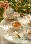 Ruby’s Teahouse