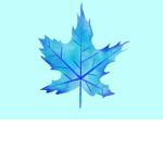 The Official Chillz Plays Group!