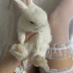 ♡˳ ˚