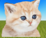 Zaniiii