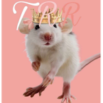 The Royale Rat