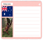 Owners of a Monkey License