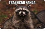 Trashcan panda official group