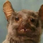 Ugly Rat Army