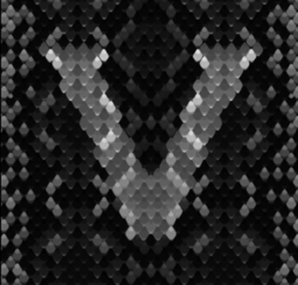 VNH0LY Roblox group icon