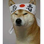 Doge Clan/Doge Game