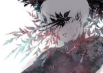 /HANAKA