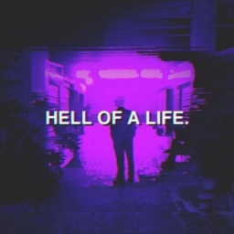 vibes