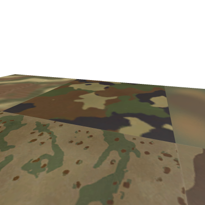 German Camo kit