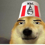 FansDoge