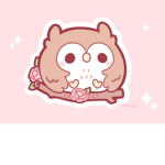 The Owl Nook!