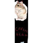 Hamster world coffee bean fans