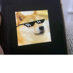 Incredible doge group