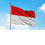 indo maju!