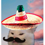 Los mexicanos :>