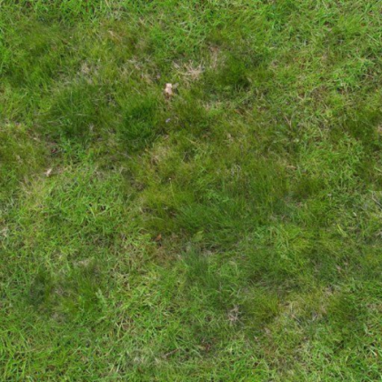 Realistic Grass Texture Roblox decal