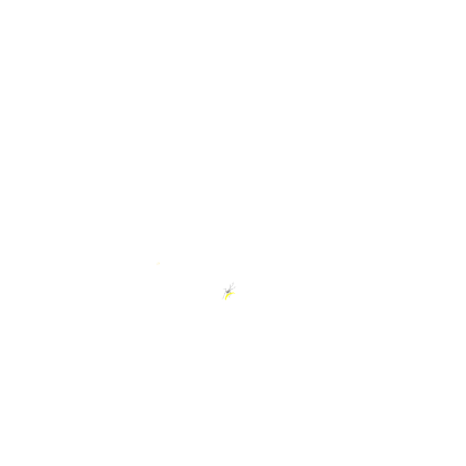 Combat