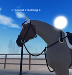 -* WoodSide Stables *-
