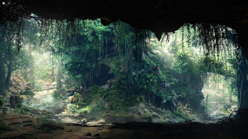 The Jungle Hollow Showcase
