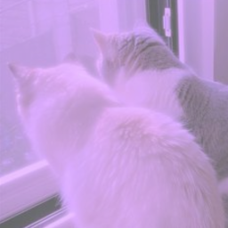 𝒾𝓃