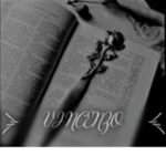 VincenzoGroup