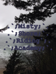 !Misty Shore Riding Academy!