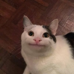Bleuga