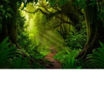 Jungle Of Mayhem