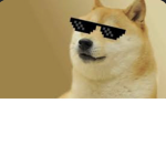 Icantfindannamedoge